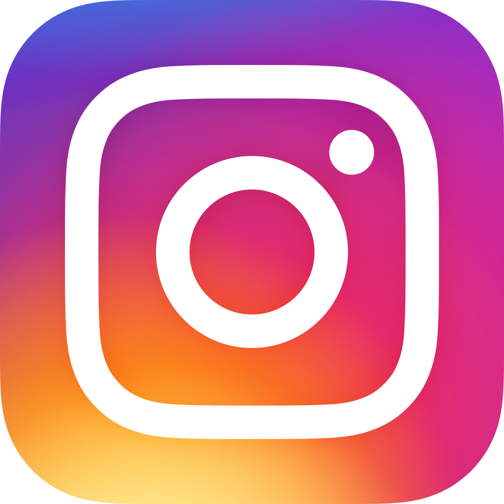 icone instagram